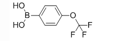4-三氟甲氧基苯硼酸CAS:139301-27-2