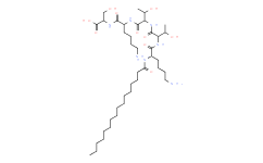 Palmitoyl pentapeptide，cas214047-00-4