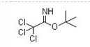 TBTA,叔丁基 2,2,2-三氯乙酸亚胺酯CAS:98946-18-0