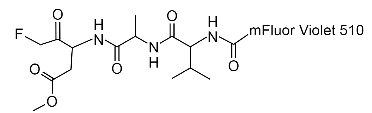 mFluor™ 510-VAD-FMK