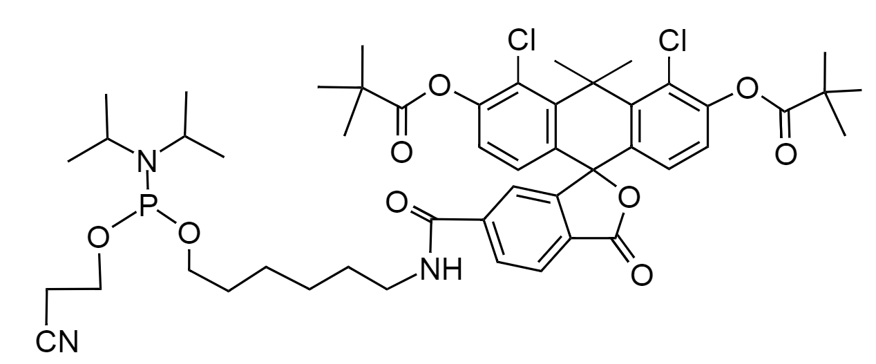 Tide Fluor™ 3 phosphoramidite;TF3 CEP;Tide Fluor™3亚磷酰胺;TF3亚磷酰胺