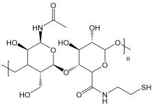 Hyaluronate-Thiol;HA-SH;巯基修饰透明质酸钠