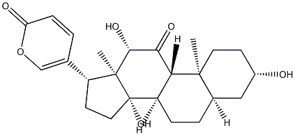 伪异沙蟾毒精cas:17008-65-0