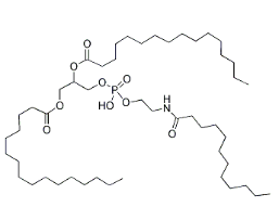 cas:474943-70-9|N-octoyl-ceraMide-1-phosphate (aMMoniuM salt)