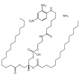 cas:474943-10-7|1,2-dipalMitoyl-sn-glycero-3-phosphoetholamine-N-[6-[(2,4-dinitrophenyl)amino]hexoyl] (aMMoniuM salt)