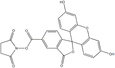 5-羧基荧光素琥珀酰亚胺酯cas:92557- -80- 7