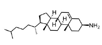 胆固醇-NH2；cholesterol-NH2