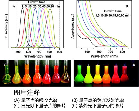 水溶性CdTe/CdS 量子点 PL 540 nm--640 nm