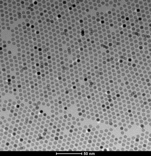油溶性PbS量子点 近红外发射光 PL 800 nm -- 1600 nm
