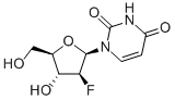 1-(2-脱氧-2-氟-beta-D-阿拉伯呋喃基)尿嘧啶cas:69123-94-0