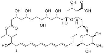 两性霉素 B,CAS:1397-89-3