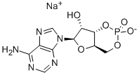 腺苷-3&#039;,5&#039;-环状单磷酸钠水合物,CAS:37839-81-9