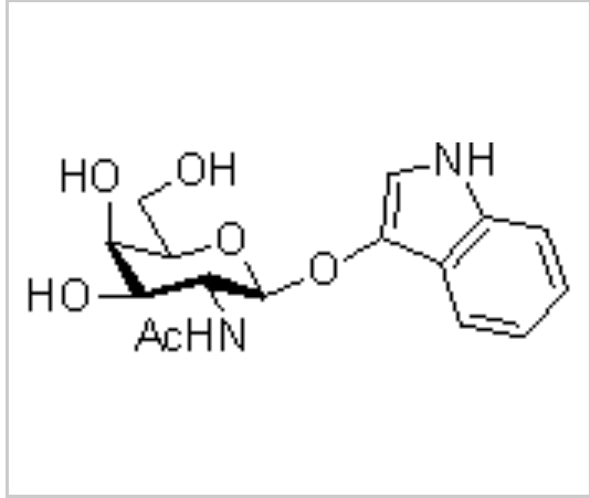3-吲哚基-2-乙酰氨基-2-脱氧-β-D-吡喃半乳糖苷，CAS：84509-05-7