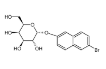 6-溴-2-萘基-Α-D-吡喃半乳糖苷    CAS号	25997-59-5