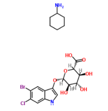 5-溴-6-氯-3-吲哚基-D-葡糖苷酸环己胺盐    CAS号	144110-43-0