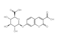 3-羧基香豆素-β-D-吡喃葡萄糖醛酸 CAS号	216672-17-2