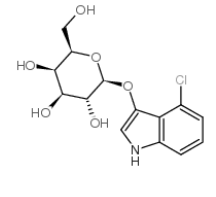 4-氯-3-吲哚基 beta-D-吡喃半乳糖苷 CAS号	135313-63-2