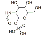 N-乙酰葡糖胺-1-磷酸,CAS:901851-43-2