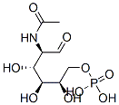 N-乙酰葡糖胺-6-磷酸,CAS:1746-32-3