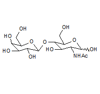 N-乙酰-D-乳糖胺, CAS:77304-67-7