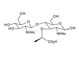 2-(乙酰氨基)-4-O-[2-(乙酰氨基)-2-脱氧-BETA-D-吡喃葡萄糖基]-3-O-(1-羧基乙基)-2-脱氧-D-葡萄糖.CAS:67068-85-3