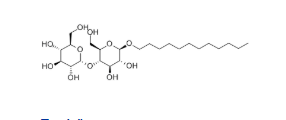 十二烷基麦芽糖苷，cas69227-93-6