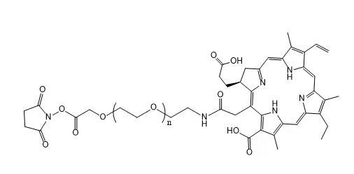 Ce6-PEG-NHS二氢卟吩-聚乙二醇- N-羟基琥珀酰亚胺