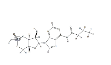 N6-单丁酰基腺苷-3,5-环单磷酸,cas13117-60-7