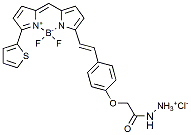 BDP 630/650 hydrazide,CAS: 2183473-43-8