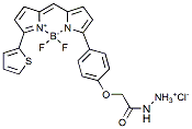 BDP TR hydrazide,CAS: 2183473-49-4
