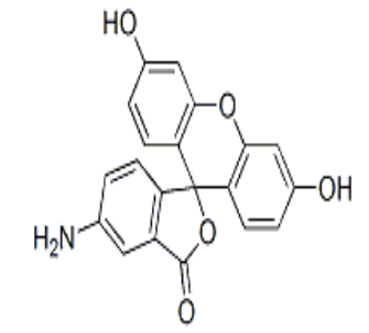 5-氨基荧光素，CAS: 3326-34-9
