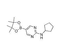 2-环丙胺基-5-嘧啶硼酸,CAS：1202805-22-8
