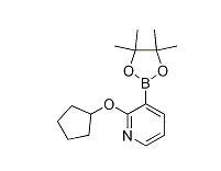 2-(环戊氧基)-3-(4,4,5,5-四甲基-1,3,2-二杂氧戊硼烷-2-基)吡啶,CAS：1073371-90-0