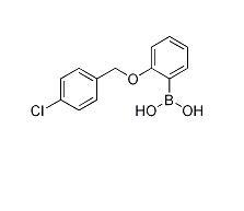 2-(4-氯苯氧基）-苯硼酸,CAS： 871125-95-0