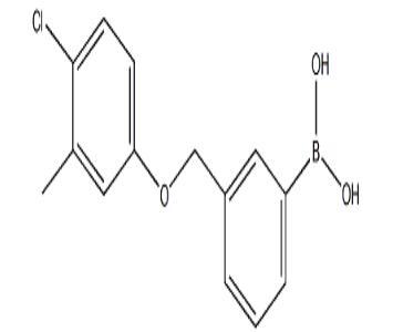 3-[(4-氯-3-甲基苯氧基)甲基]苯硼酸,CAS：1072951-91-7