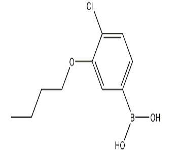 3-丁氧基-4-氯苯硼酸CAS：1256346-36-7