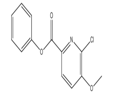 Phenyl 6-chloro-5-methoxypicolinate，cas204378-35-8
