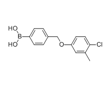 4-[(4-氯-3-甲基苯氧基)甲基]苯硼酸,CAS:849052-25-1