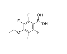 4-乙氧基-2,3,5,6-四氟苯基硼酸,CAS:871125-72-3