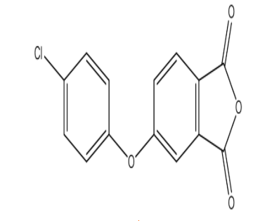 5-(4-Chlorophenoxy)isobenzofur-1,3-dione，cas63196-10-1