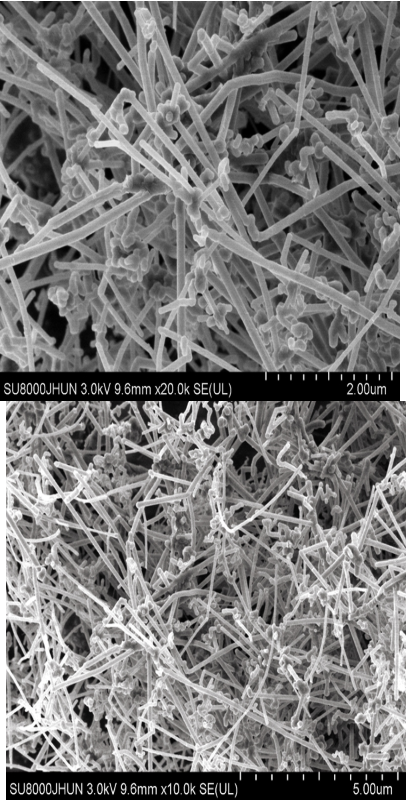 氟化纳米碳纤维VGCF，cas51311-17-2