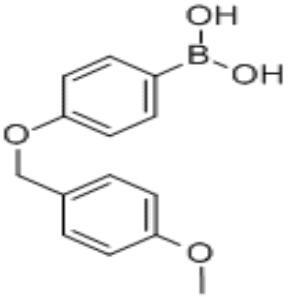 4-(4&#039;-甲氧基苄氧基)苯基硼酸,CAS:156635-90-4
