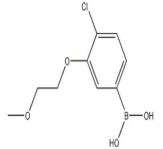 4-氯-3-(2-甲氧基乙氧基)苯硼酸,CAS:1256355-00-6