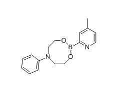4-甲基吡啶-2-硼酸 N-苯基二乙醇胺酯,CAS:849100-03-4