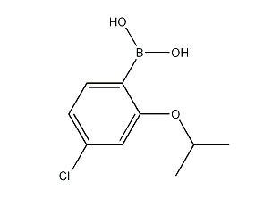4-氯-2-异丙氧基苯硼酸,CAS:1256355-04-0