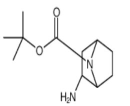 (1S,2R,4R)-2-氨基-7-氮杂双环[2.2.1]庚烷-7-羧酸叔丁酯，CAS: 500556-90-1