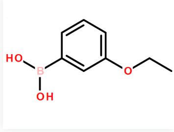 3-乙氧基苯硼酸，cas90555-66-1