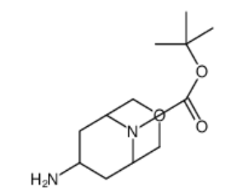 tert-butyl endo-7-amino-3-oxa-9-azabicyclo[3.3.1]none-9-carboxylate，CAS: 280762-03-0