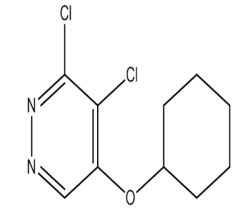 3,4-二氯-5-(环己氧基)哒嗪，cas1346698-13-2