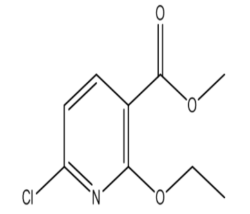甲基-6-氯-2-乙氧基烟酸,cas1246765-45-6